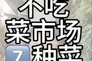 开云手机app下载官网安卓下载